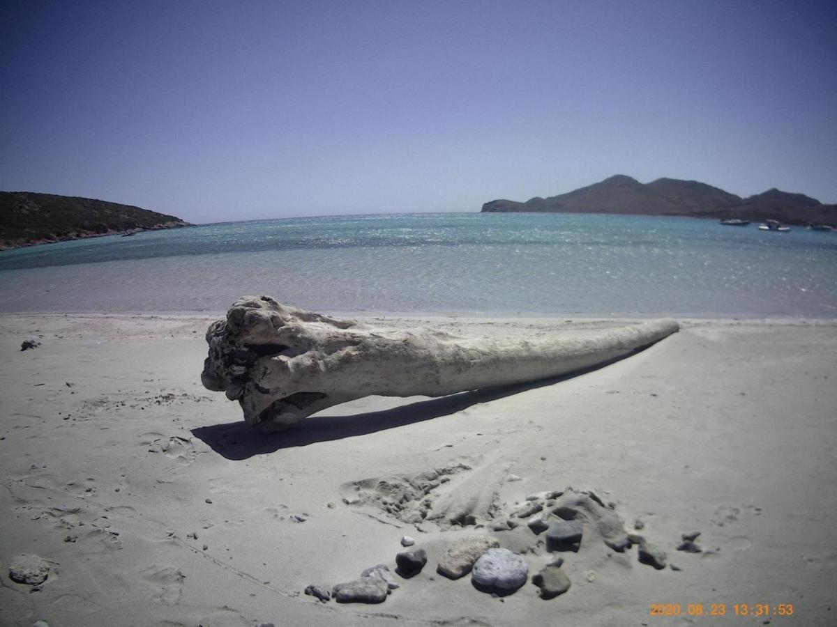 Casa Penny Villa Capo Sperone ภายนอก รูปภาพ